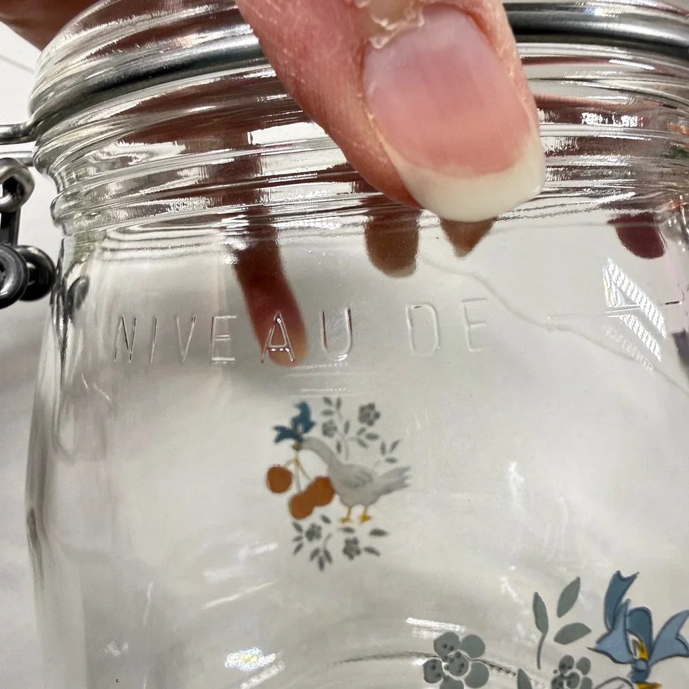 Vintage 80s Arc France GOOSE & CHERRIES Glass Canister 3/4L Wire Bail Jar NICE